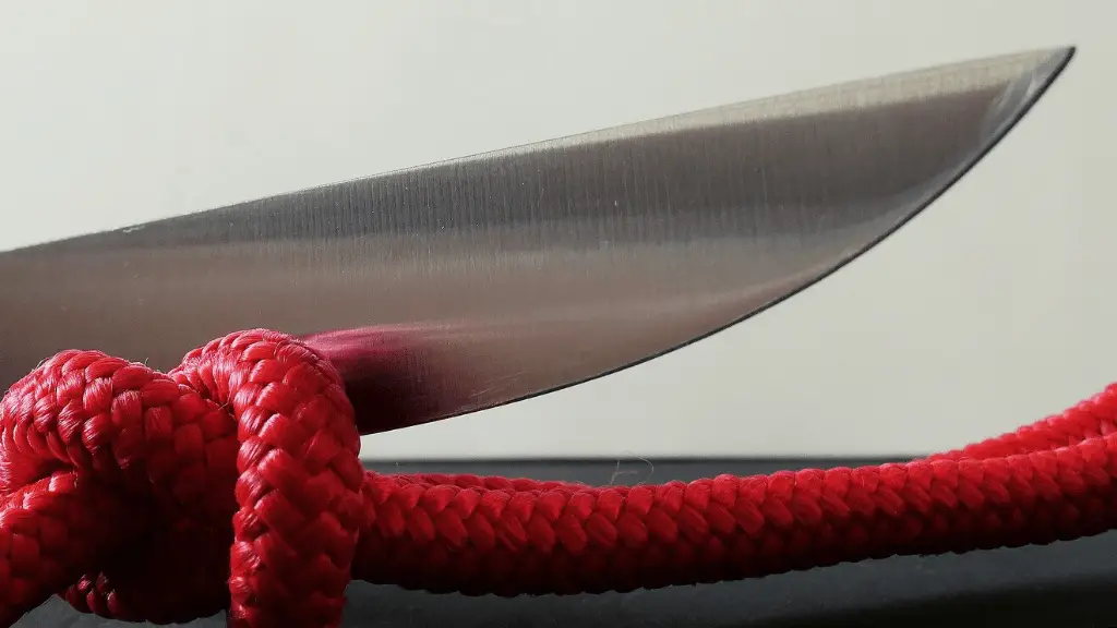 knife sharpener