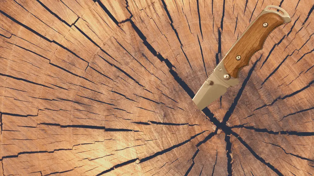 What's the Best Wood For Knife Handles? 9 Wood Types You Should Know
