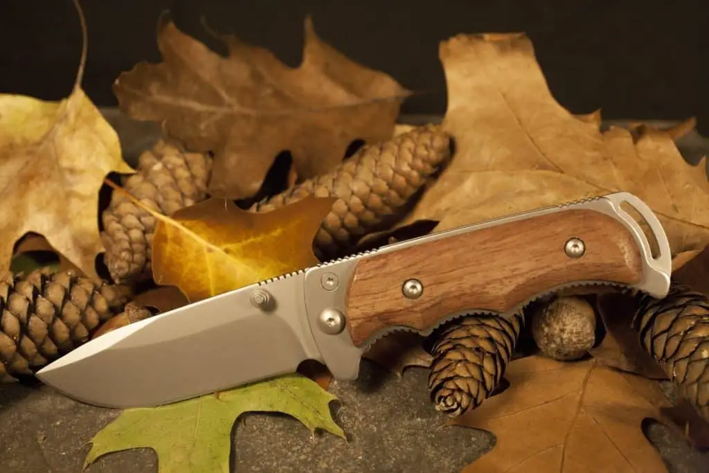 Should a Survival Knife Be Serrated? Serrated Vs Plain Edge | Knife Pulse