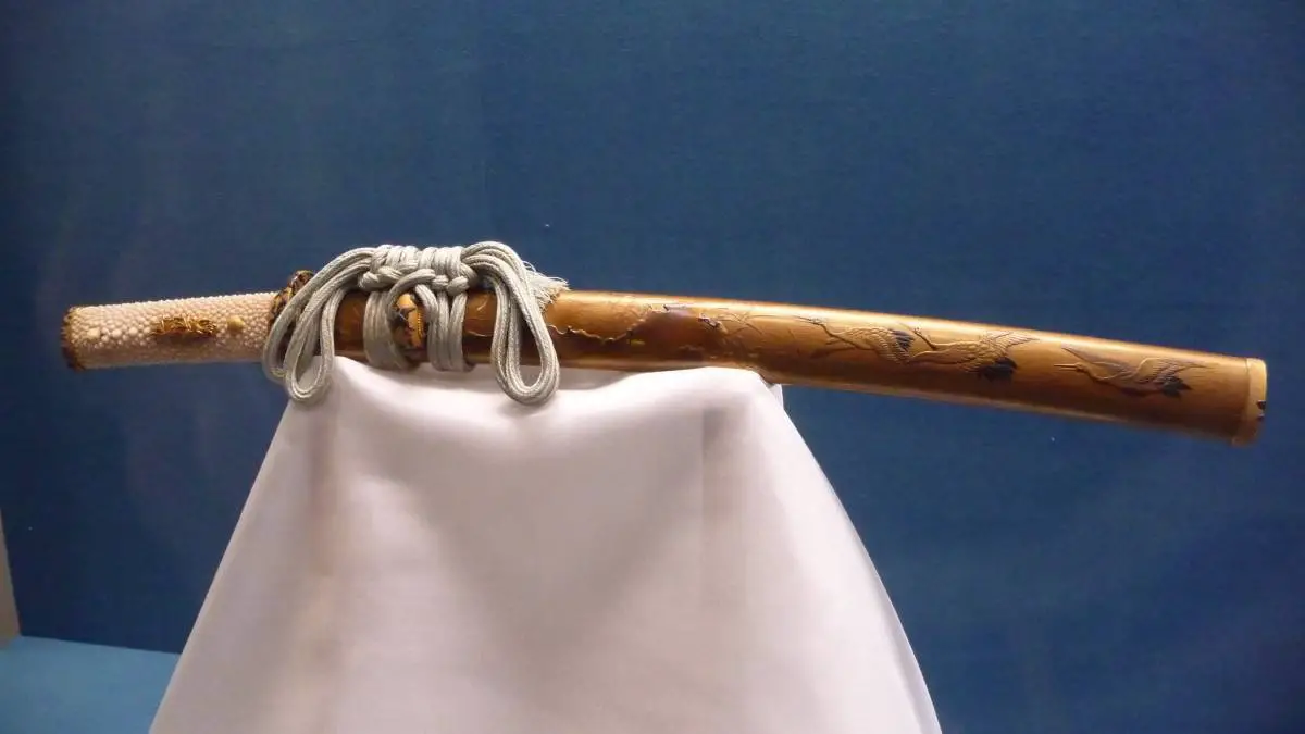 Wakizashi Sword: 7 Important Answers for Beginners