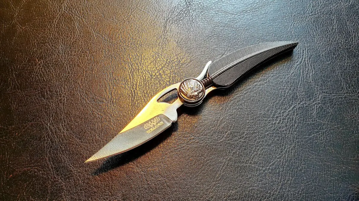 Can You Carry a Pocket Knife In a Hospital? (Truth Revealed) Knife Pulse